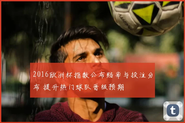 2016欧洲杯指数公布赔率与投注分布 提升热门球队晋级预期