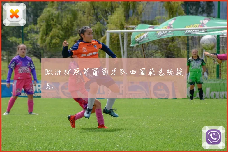 欧洲杯冠军葡萄牙队回国获总统接见