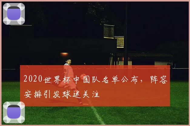 2020世界杯中国队名单公布，阵容安排引发球迷关注