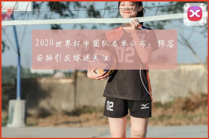 2020世界杯中国队名单公布，阵容安排引发球迷关注