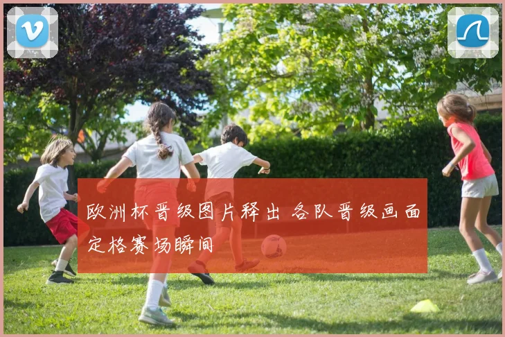 欧洲杯晋级图片释出 各队晋级画面定格赛场瞬间