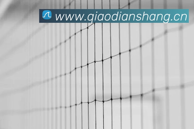 多媒体互动体验